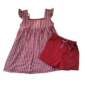 Little Silver Swan Red Gingham Dress